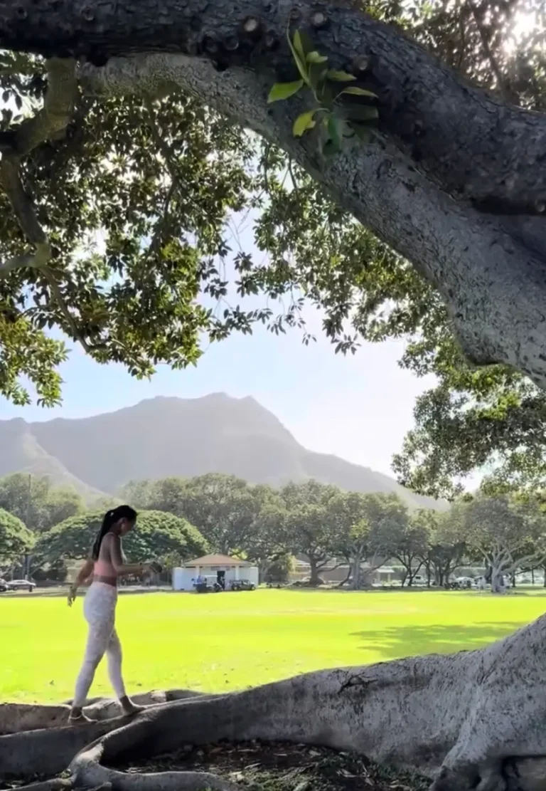 ハワイ発アクティブウェア レアマカハの世界へ